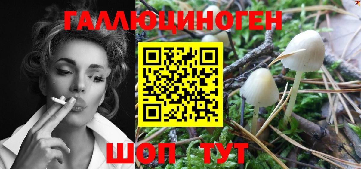 Гусев  Галлюциногенные грибы Magic Shrooms  Вход с VPN  Галлюциногенные грибы Psilocybe 