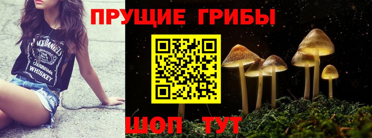 Псилоцибиновые грибы мицелий Гусев