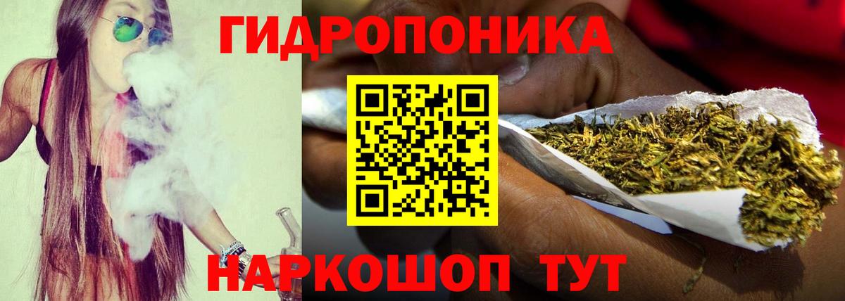 Марихуана конопля Гусев